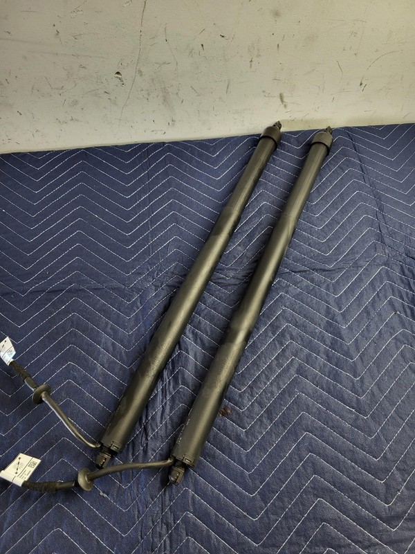 Used Oem Jaguar Trunk Liftgate Power Lift Strut Cylinder SET 2018-2020 E-Pace