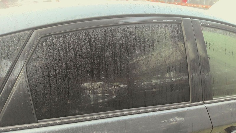 Rear Door Glass/window TOYOTA PRIUS Right 10 11 12 13 14 15