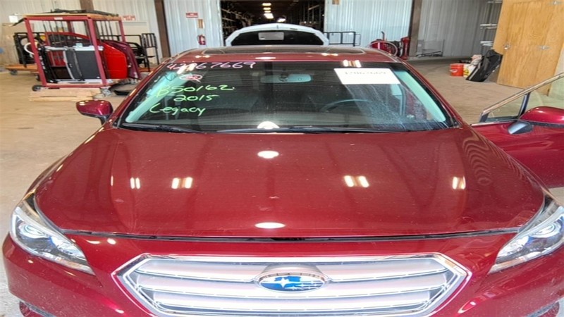 Hood Fits 15-19 LEGACY 3494139