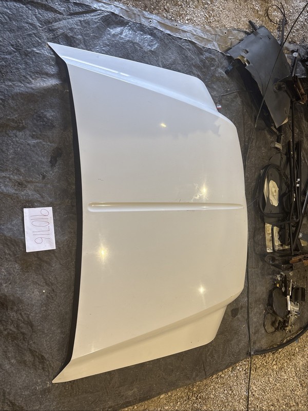 99-07 Ford F250SD Hood (Local Pickup Only!!!) 3754828