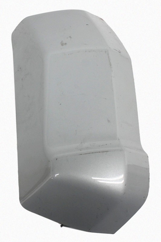 OEM Cab corner molding For Ford F150, Super Duty Crew Cab Star White (AZ, M7446)