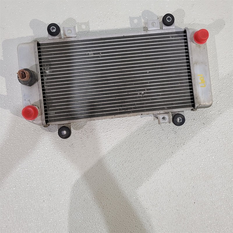 2009 Kawasaki EX250 250 Radiator PS1097