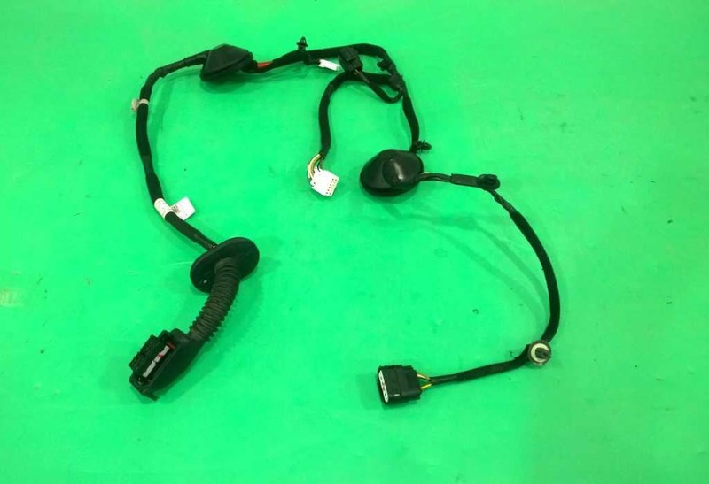 19 20 21 22 23 FORTE PASSENGER RIGHT REAR DOOR WIRE WIRING HARNESS OEM 3919-60