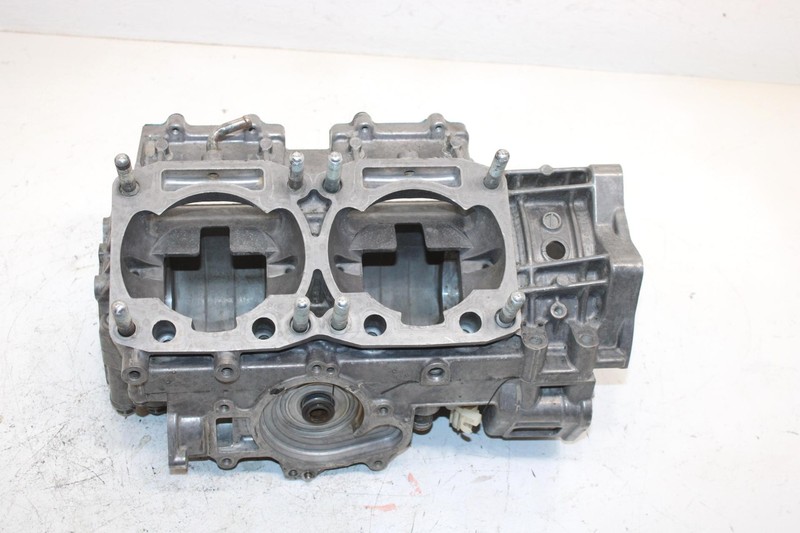 06 Arctic Cat Sabercat 500 Lx Efi Oem Crankcase 3007-612 SA163