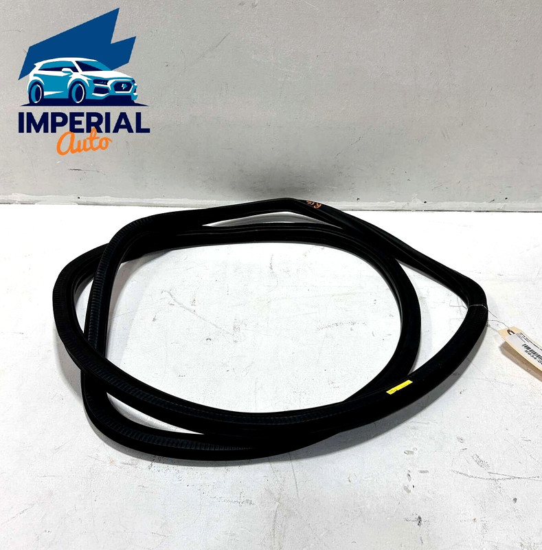 2012-2022 VOLKSWAGEN PASSAT REAR LEFT DRIVER DOOR BODY WEATHERSTRIP SEAL OEM