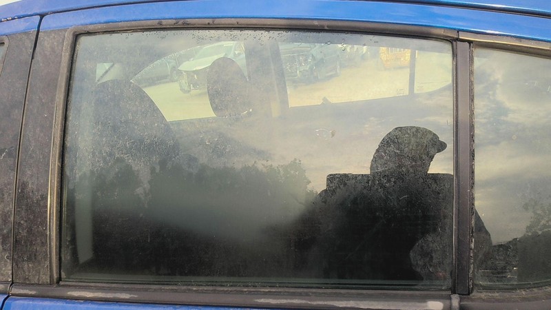 Rear Door Glass/window NISSAN VERSA Left 12 13 14 15 16 17 18 19