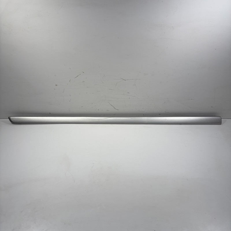 05-10 Honda Odyssey Left Door Protector Molding Silver 75322-SHJ-A22ZF OEM