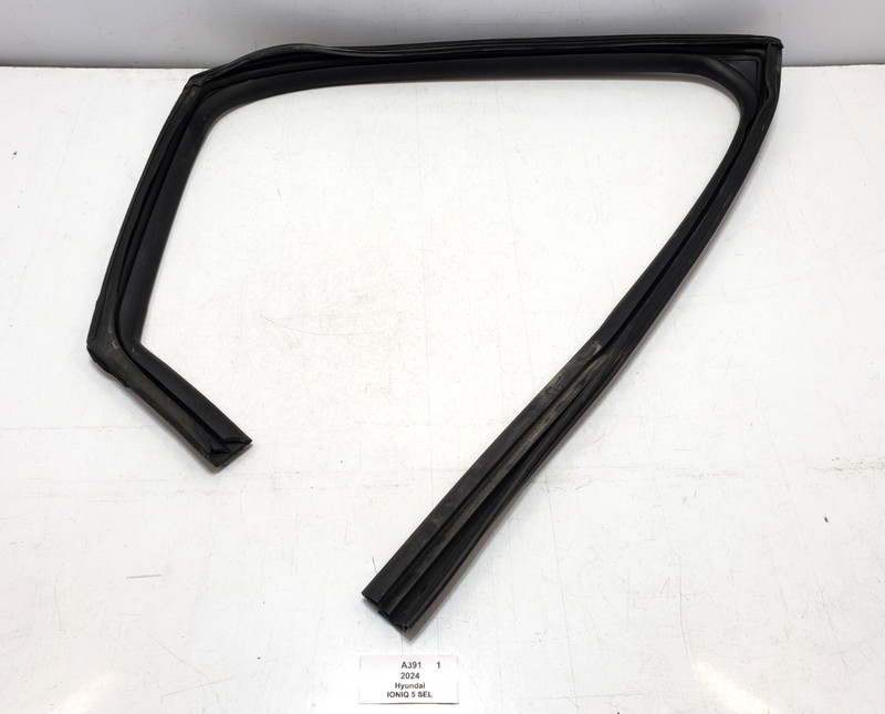✅ 22-24 Hyundai IONIQ 5 SEL Rear Right Window Glass Run Channel Seal 32k