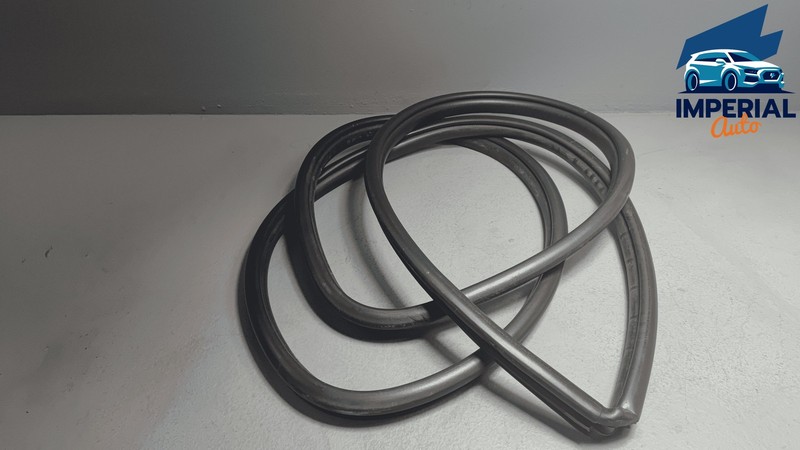 2019-2025 TOYOTA RAV4 FRONT RIGHT PASSENGER SIDE DOOR BODY WEATHERSTRIP SEAL OEM