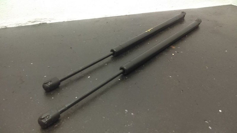 04-05 Dodge Durango Liftgate Struts Pair OEM 55362108AA