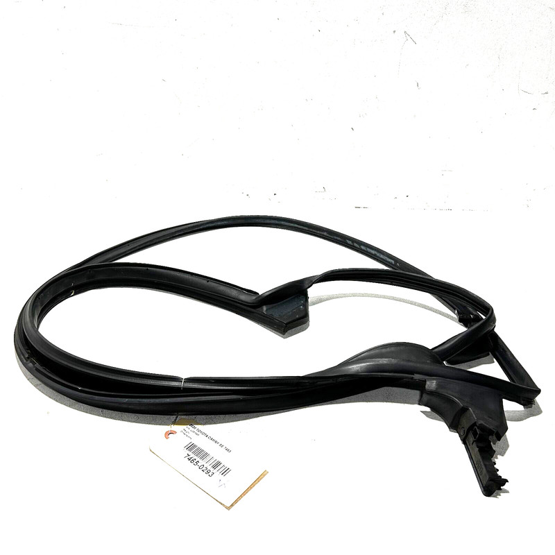 2018-2024 TOYOTA CAMRY DOOR WEATHERSTRIP SEAL REAR RIGHT PASSENGER SIDE OEM
