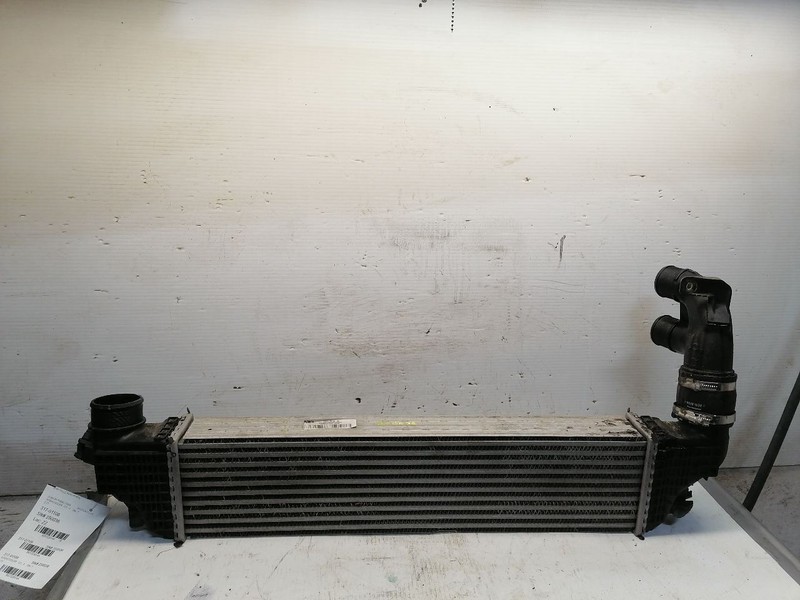 Intercooler Fits 15-23 EDGE 1528144