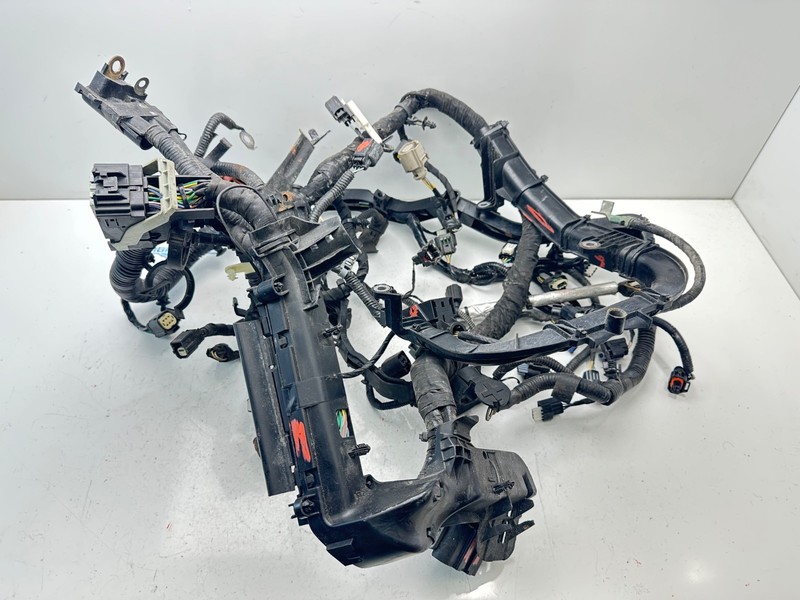 2020 Ford Ecosport 1.0L Engine Wire Wiring Harness OEM GN15-12C508-FF