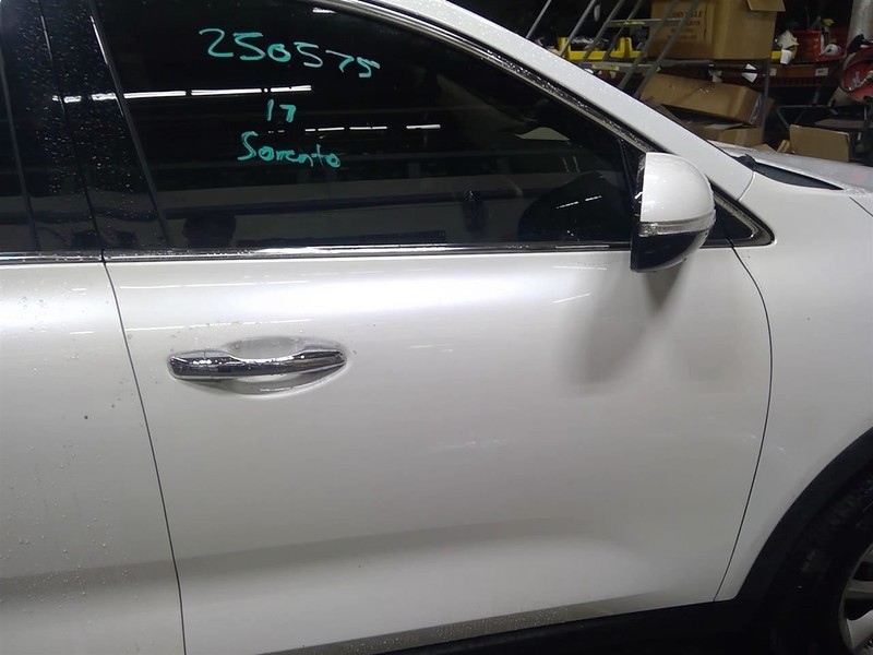 Passenger Front Door Thru 06/03/18 Fits 16-19 SORENTO 1729945