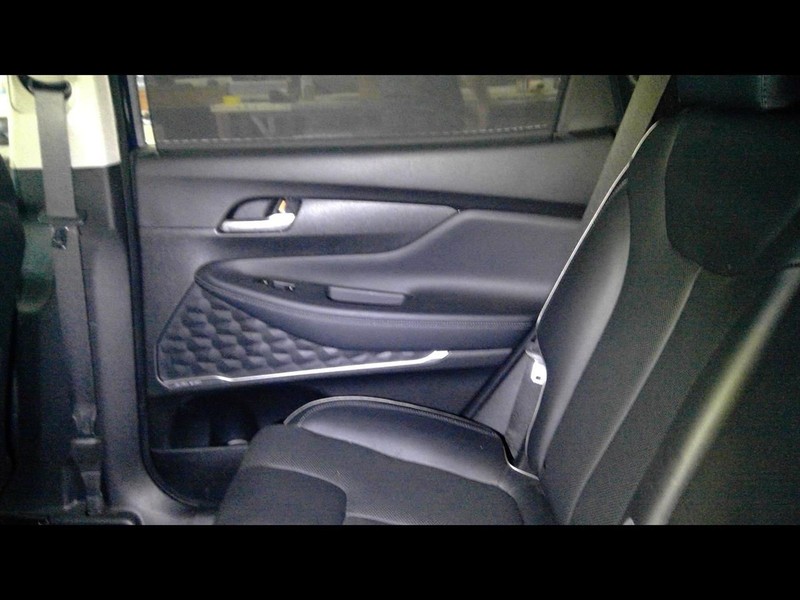SANTA FE 2022 Passenger Right Rear Door Trim Panel Rear 1644708