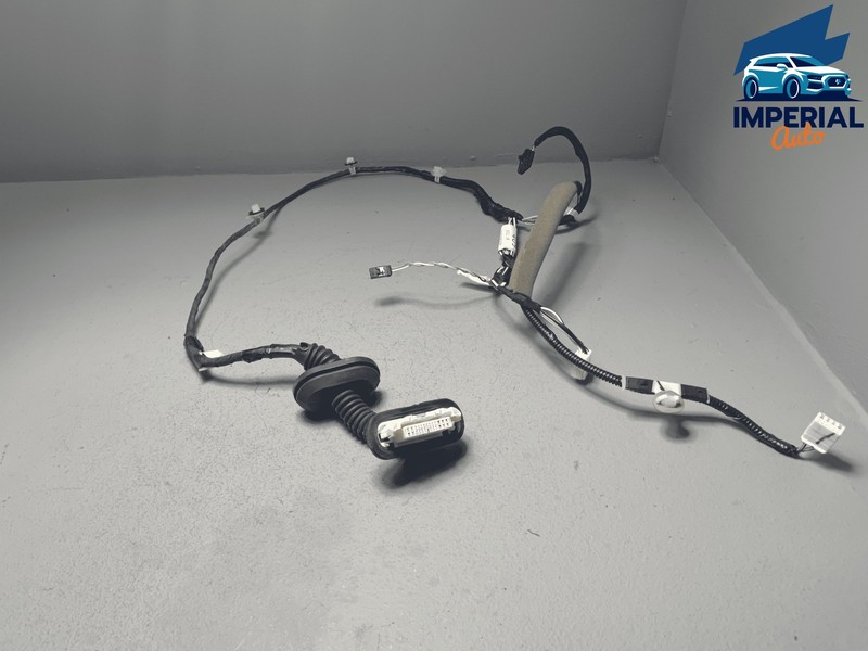 2019-2022 Toyota RAV4 Rear Left Driver Door Wire Wiring Harness OEM
