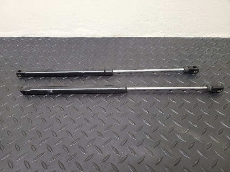 02-03 Dodge Ram 1500 Hood Support Struts Pair OEM 55276321AA