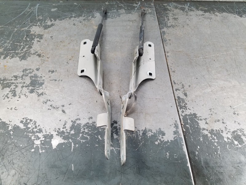 2007 Grand Marquis / Crown Vic Victoria Hood Hinges / Struts #9684 H5