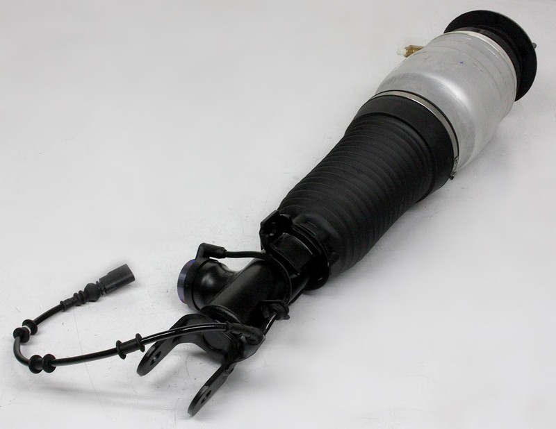 OEM Right Passenger Side Air Ride Strut For Hyundai Equus 54606-3N530