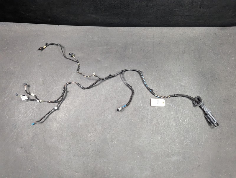 Rear Left Door Wiring Harness 2018 BMW X1 6840096 2016 2017 2019