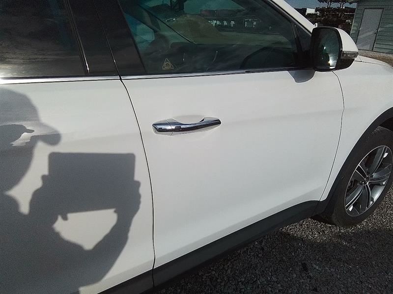 Passenger Right Front Door LWB Fits 15-19 SANTA FE 3244356