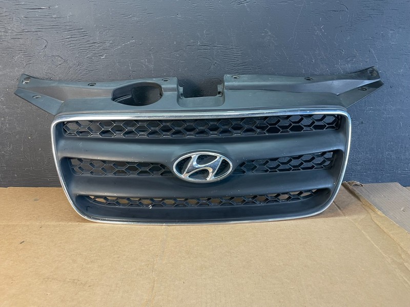 2007 to 2009 Hyundai Santa Fe Front Upper Grill Grille OEM AE0842 DG