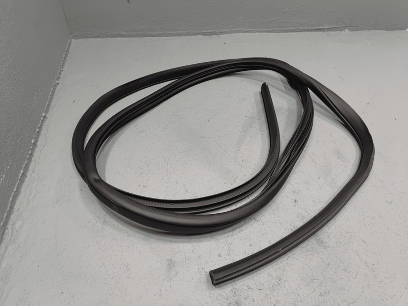 2021-2025 Nissan Rogue Front Left or Right Side Door Body Weatherstrip Seal OEM