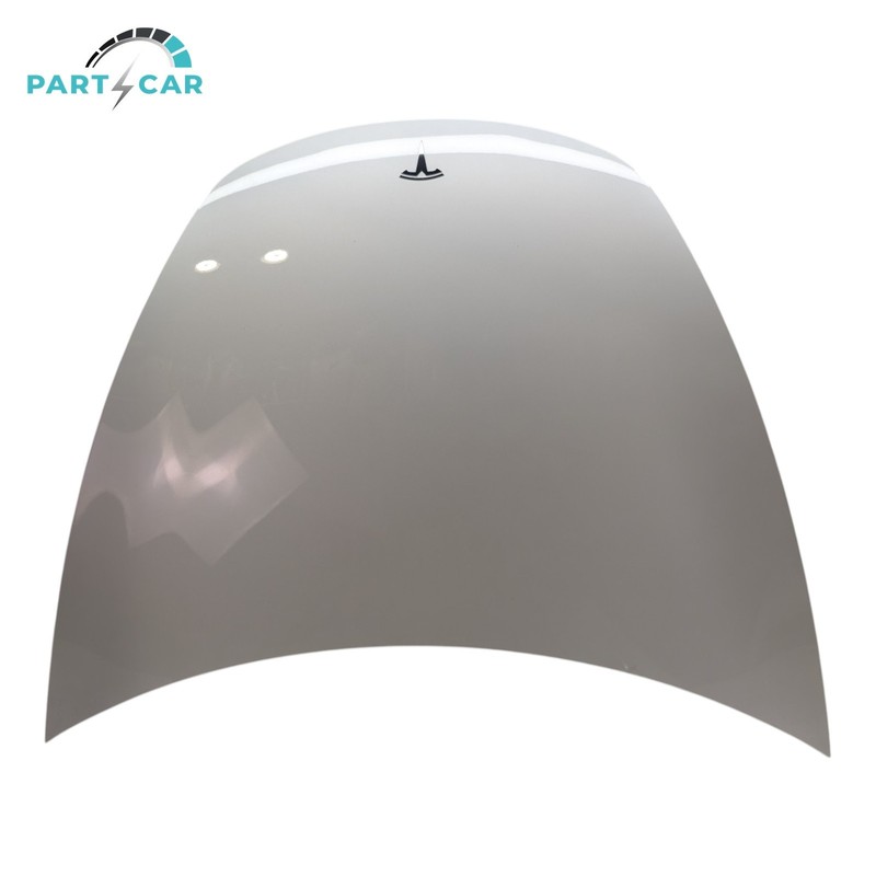 2017-2023 Tesla Model 3 M3 Front Hood Bonnet Shell Cover Aluminum PPSW OEM