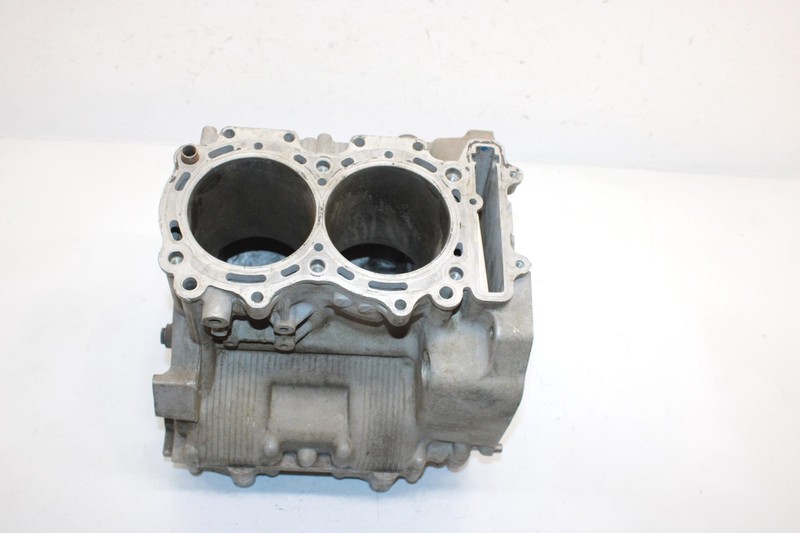 12 Arctic Cat F1100 Lxr Efi Oem Crankcase Assembly 3007-854 SA41