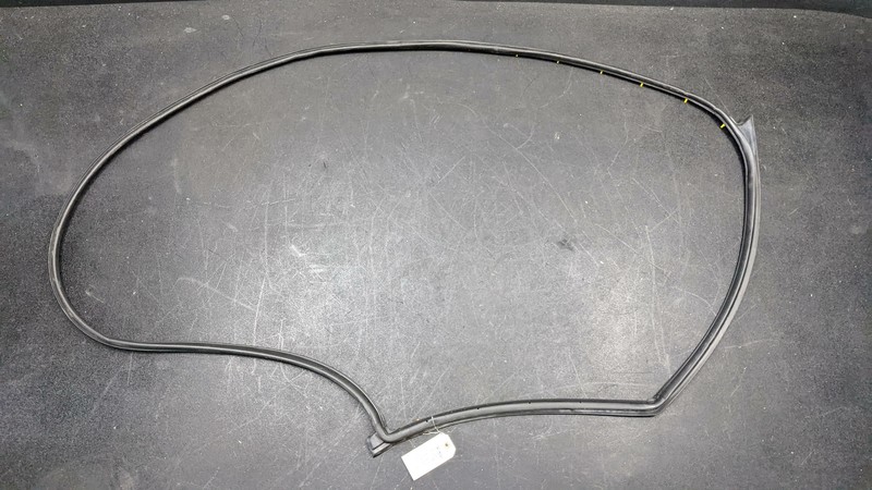 Right Passenger Front Door Weatherstrip Seal 82140-K0000 2020 Kia Soul 2021