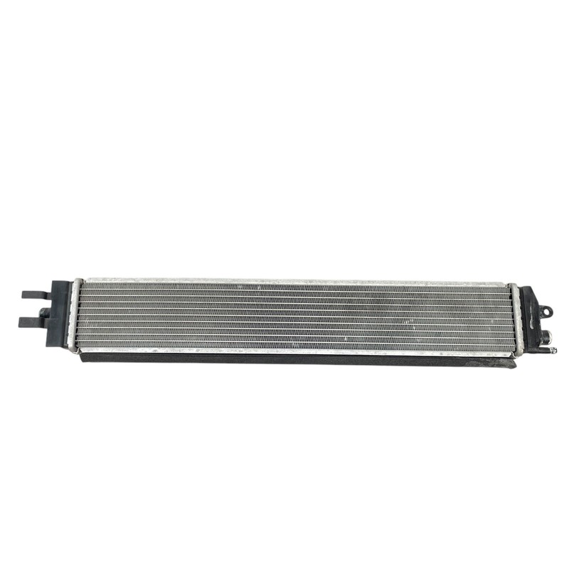 SCUFFS* 2018-2020 Aston Martin DB11 / DBS Superlegerra Lower cooler radiator OEM