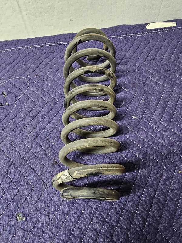2005 - 2009 Ford Mustang Rear Coil Spring OEM 5R3Z5560BA