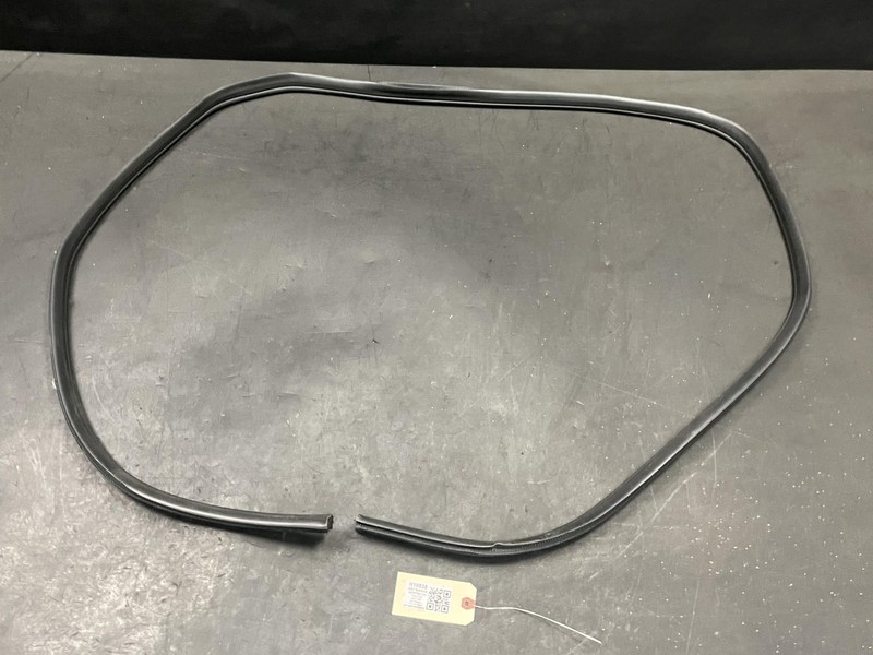Rear Left or Right Door Body Weatherstrip 2021 Nissan Sentra 76924-6LE0A 20-23