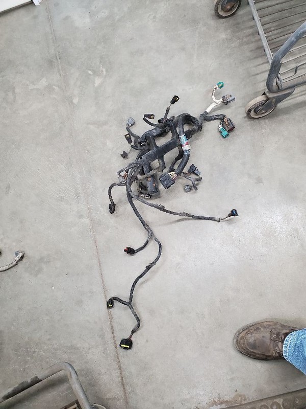 EXPLORER1998 Engine Wire Harness 293055