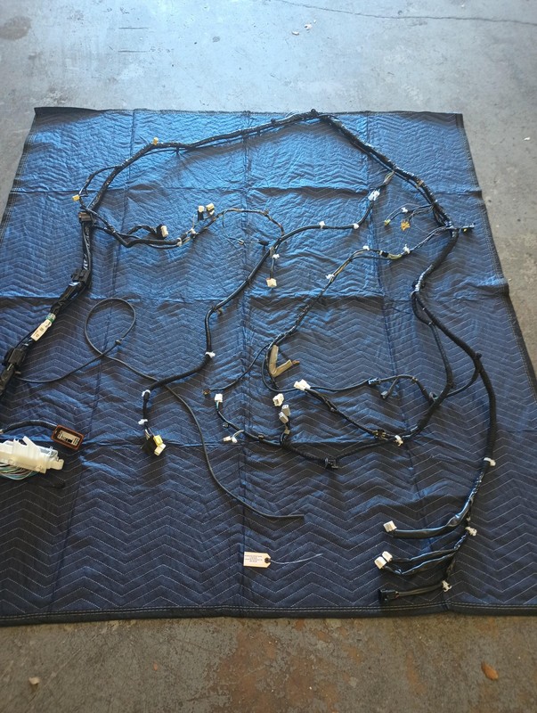 2024 Infiniti QX60 Right Passenger Body Floor Wiring Harness OEM 24014-9NW7E