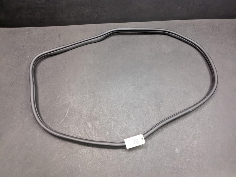 Rear Left Driver Door Body Weatherstrip 2021 Hyundai Sonata 2020