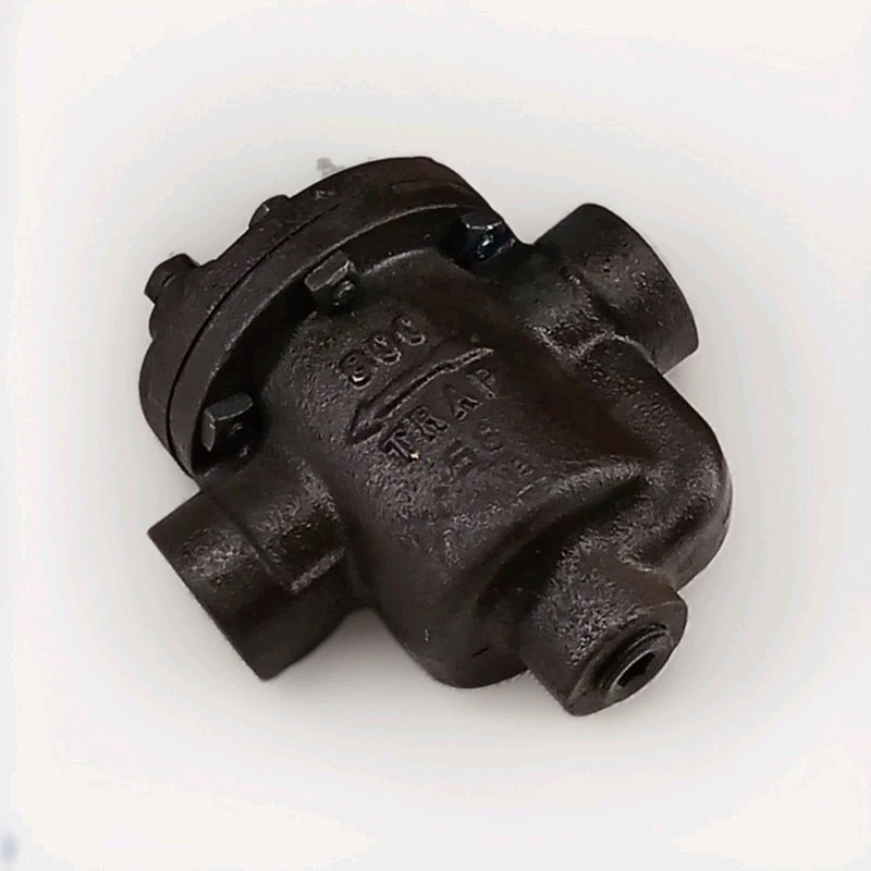Armstrong Machine Works 800 Trap Check Valve