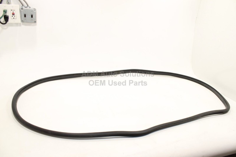 2019-2025 RAM 1500 5th Gen Crew Cab Rear Left Door Weatherstrip on Body OEM