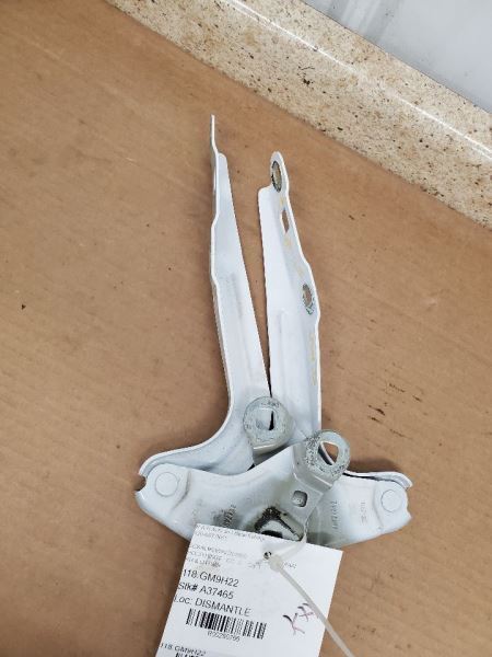 TERRAIN 2022 Hood Hinge 280766