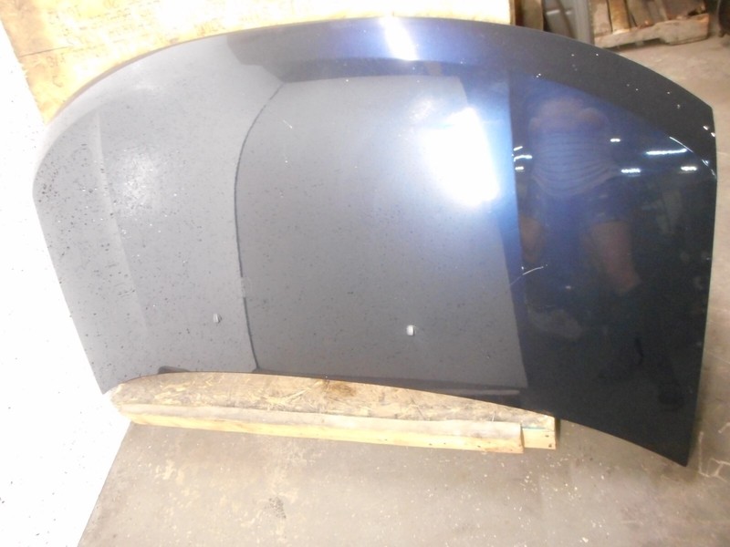 07 08 09 10 Ford Edge Hood Bonnet OEM Blue DI