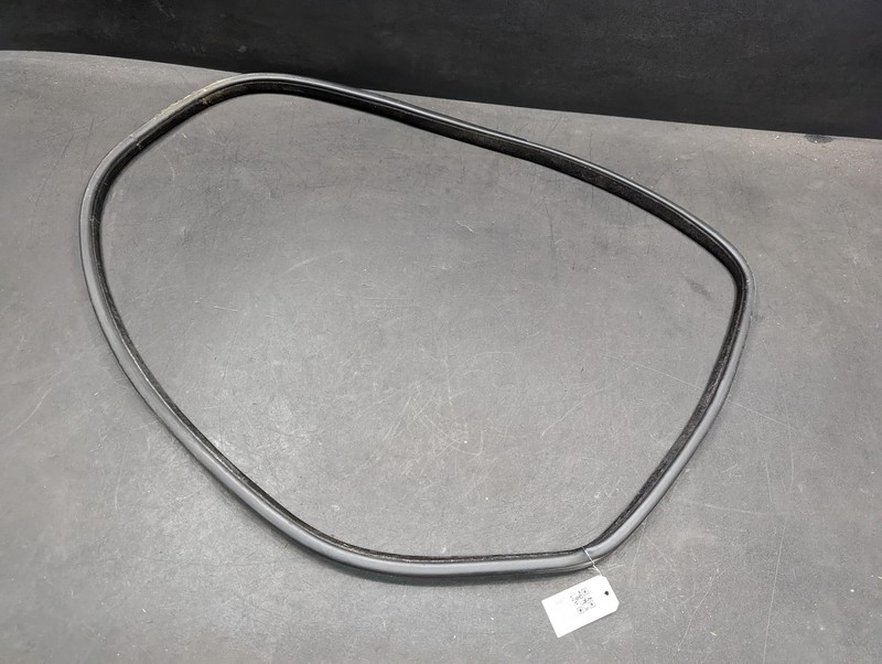 Rear Right Door Body Weatherstrip 2018 BMW X6 51727317812 2015 2016 2017 2019