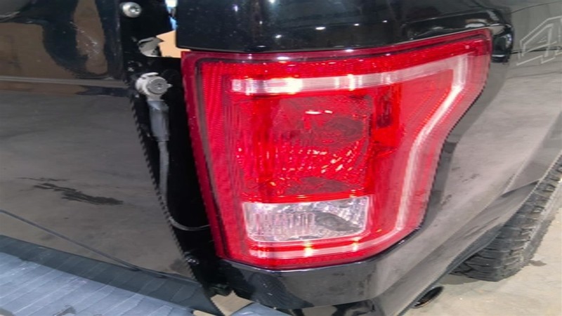 Passenger Tail Light Styleside Incandescent Fits 15-17 FORD F150 PICKUP 3417951