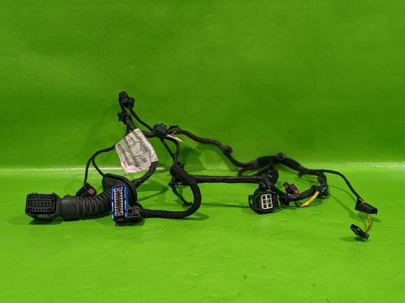 14-17 GHIBLI DRIVER LEFT FRONT DOOR WIRE WIRING HARNESS OEM 4519-54