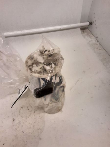 EQUINOX 2020 Fuel Pump 3019449
