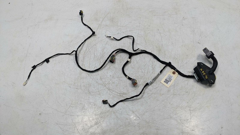 Rear Left Door Wiring Harness 2019 Dodge Charger 68454474AA 2020 2021 2022