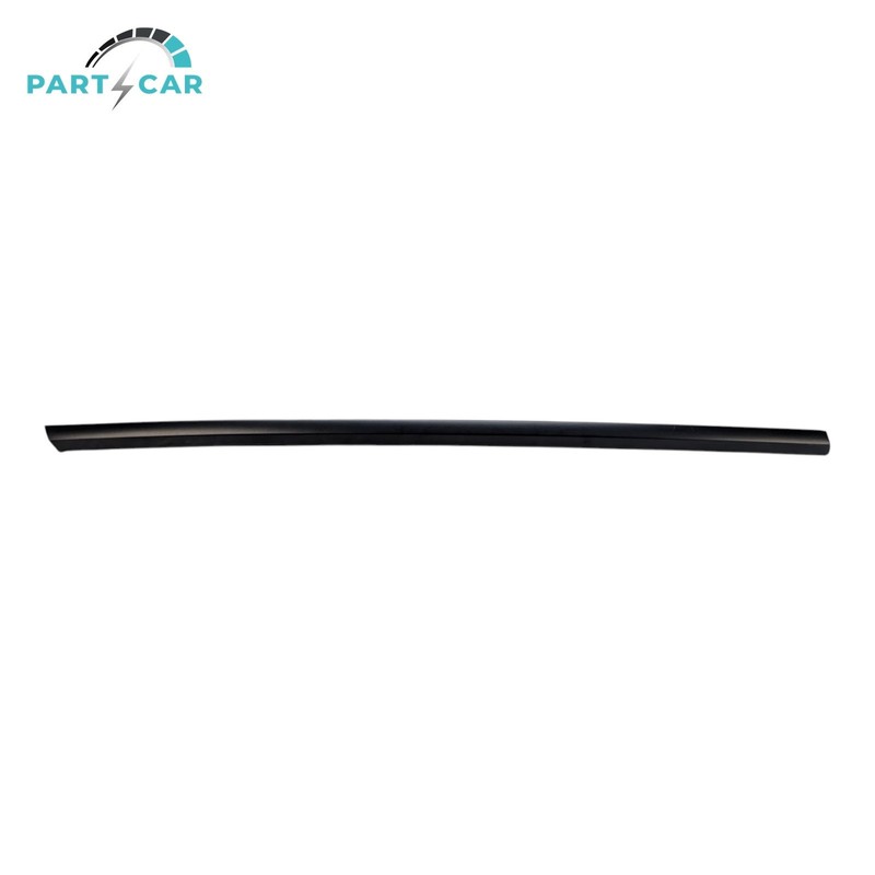 2021-2023 Tesla Model 3 Front Right Passenger Door Window Black Belt Molding OEM