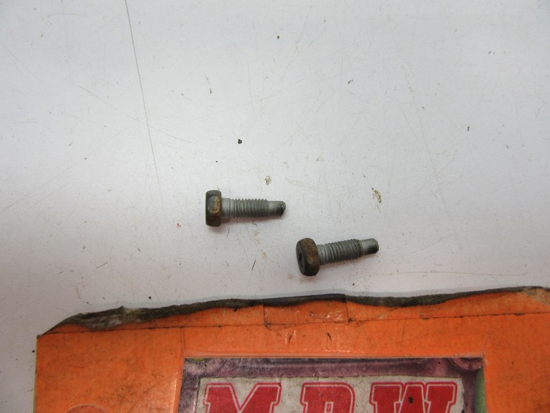 SCREW SCREWS BOLTS GAS TANK DOOR FUEL FILLER QUARTER PANEL CAR TO BODY PANEL