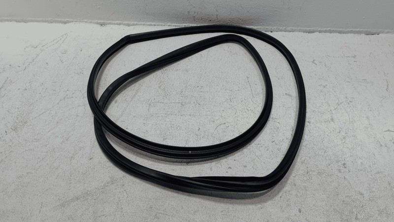 2019-2024 TOYOTA RAV4 FRONT RIGHT PASSENGER SIDE DOOR BODY WEATHERSTRIP SEAL OEM