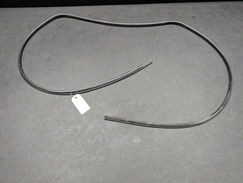 Panoramic Sunroof Weatherstrip 2019 Ford EDGE FT4B-R51884-BA 2015-2018 2020 2021