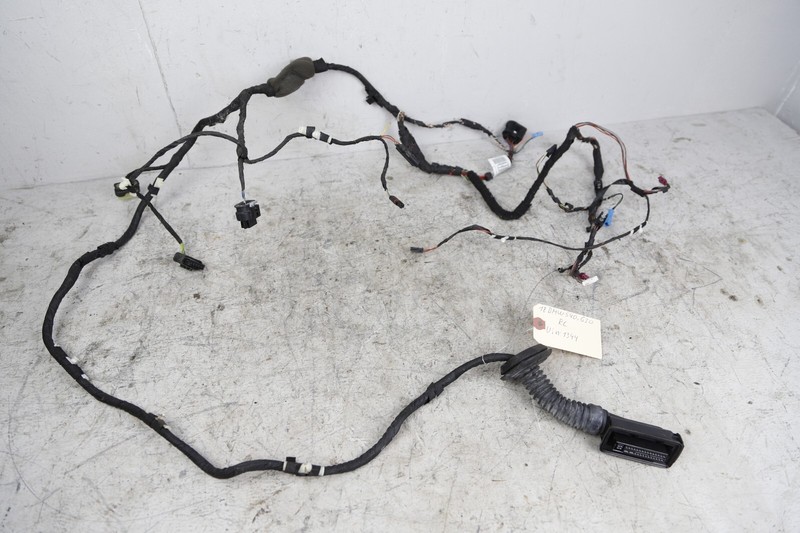 2017-2019 BMW 5 Series G30 G31 Rear Left Passenger Door Wire Wiring Harness